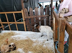 IMG_20231118_100234.jpg IMG_20231118_100234.jpg