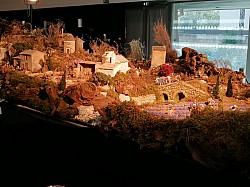 IMG_20231118_100251.jpg IMG_20231118_100251.jpg