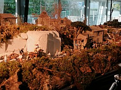 IMG_20231118_100303.jpg IMG_20231118_100303.jpg