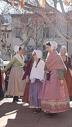 IMG-20240204-WA0007.jpg IMG-20240204-WA0007.jpg