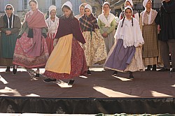 IMG_6633.jpg IMG_6633.jpg