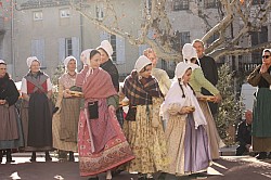 IMG_6729.jpg IMG_6729.jpg