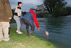 Negue_lume_2024 2024_24.jpg Negue_lume_2024 2024_24.jpg