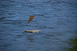 Negue_lume_2024 2024_32.jpg Negue_lume_2024 2024_32.jpg