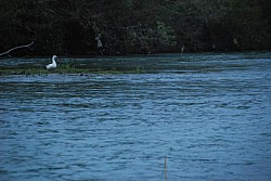 Negue_lume_2024 2024_33.jpg Negue_lume_2024 2024_33.jpg