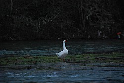 Negue_lume_2024 2024_37.jpg Negue_lume_2024 2024_37.jpg