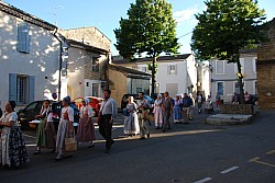 DSC_0279.jpg DSC_0279.jpg