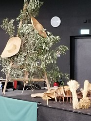 IMG_20241117_130921.jpg IMG_20241117_130921.jpg