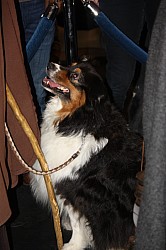 IMG_6766.jpg IMG_6766.jpg