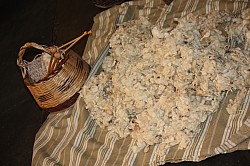 IMG_6868.jpg IMG_6868.jpg