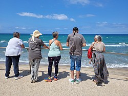 20240722_135259.jpg 20240722_135259.jpg