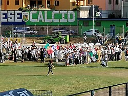 IMG_20240728_182003.jpg IMG_20240728_182003.jpg