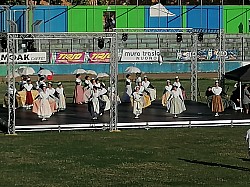 IMG_20240728_182856.jpg IMG_20240728_182856.jpg