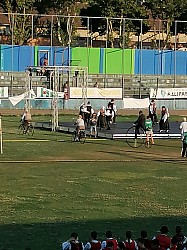 IMG_20240728_190247.jpg IMG_20240728_190247.jpg