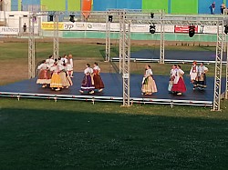 IMG_20240728_190741.jpg IMG_20240728_190741.jpg