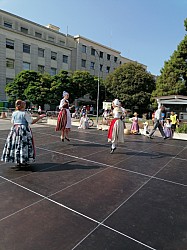 IMG_20240725_095123.jpg IMG_20240725_095123.jpg