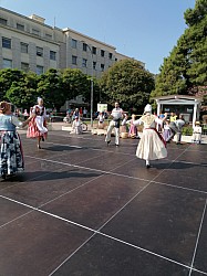 IMG_20240725_095125.jpg IMG_20240725_095125.jpg