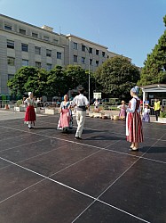 IMG_20240725_095141.jpg IMG_20240725_095141.jpg