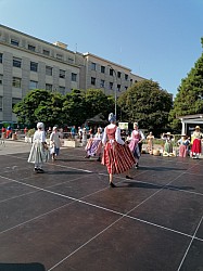 IMG_20240725_095427.jpg IMG_20240725_095427.jpg