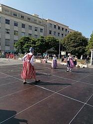 IMG_20240725_095604.jpg IMG_20240725_095604.jpg