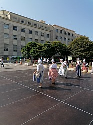 IMG_20240725_100319.jpg IMG_20240725_100319.jpg