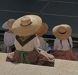 IMG_20240725_181011.jpg IMG_20240725_181011.jpg