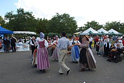 DSC_0117.jpg DSC_0117.jpg