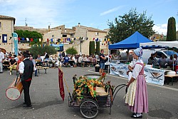 DSC_0126.jpg DSC_0126.jpg