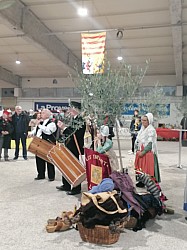 IMG_20221210_154206.jpg IMG_20221210_154206.jpg