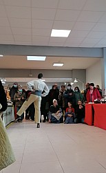 IMG_20221211_184545.jpg IMG_20221211_184545.jpg