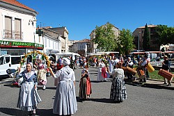 ban_vendanges_2022 (60).jpg ban_vendanges_2022 (60).jpg