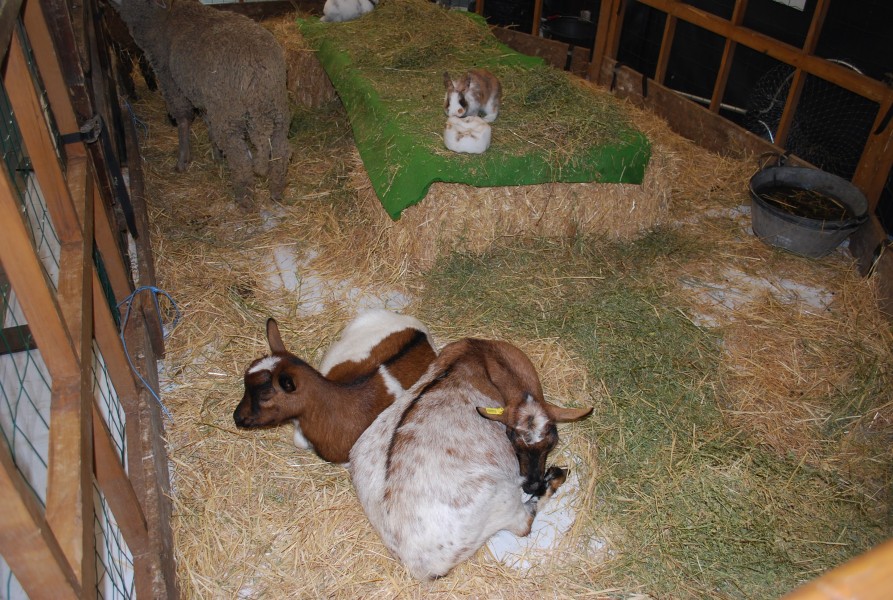 Santons  2022 sorgues_08.jpg