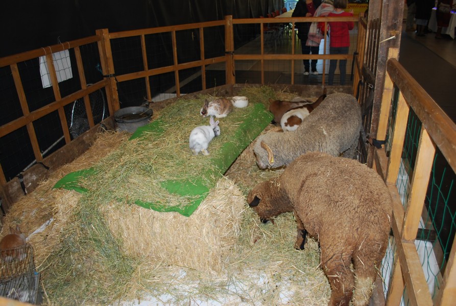 Santons  2022 sorgues_09.jpg