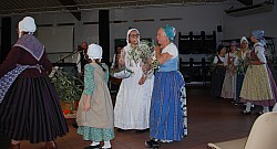 temps de l'olivaison 2022_05.jpg temps de l'olivaison 2022_05.jpg