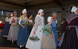 temps de l'olivaison 2022_07.jpg temps de l'olivaison 2022_07.jpg