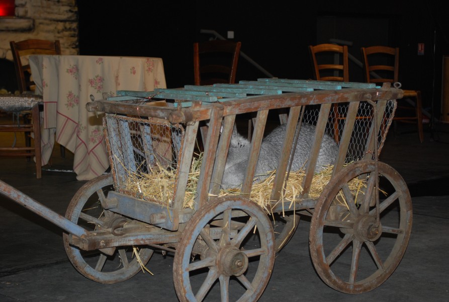 defile santons 2022_24.jpg