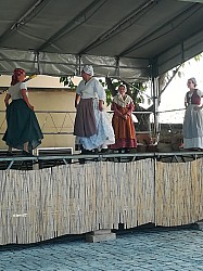 IMG-20220709-WA0003-1657619108787.jpg IMG-20220709-WA0003-1657619108787.jpg