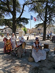 IMG_20220709_112003-1657618973656.jpg IMG_20220709_112003-1657618973656.jpg