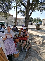 IMG_20220709_112314-1657619029117.jpg IMG_20220709_112314-1657619029117.jpg