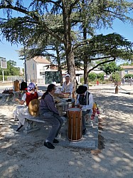 IMG_20220709_113610-1657619031968.jpg IMG_20220709_113610-1657619031968.jpg