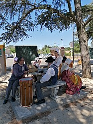 IMG_20220709_113620-1657619072640.jpg IMG_20220709_113620-1657619072640.jpg