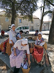 IMG_20220709_113639-1657619075106.jpg IMG_20220709_113639-1657619075106.jpg