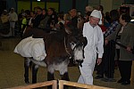 Foire Santons 2016_20.jpg
