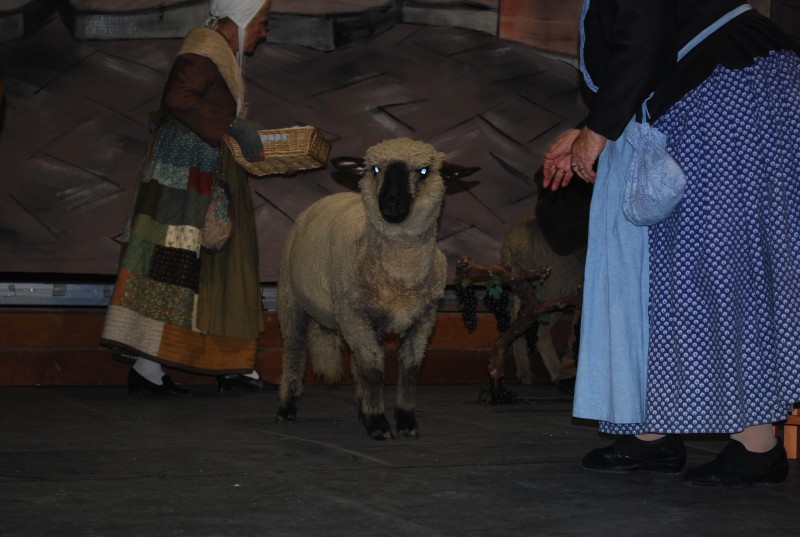 Foire santons Sorgues  2018_51.jpg