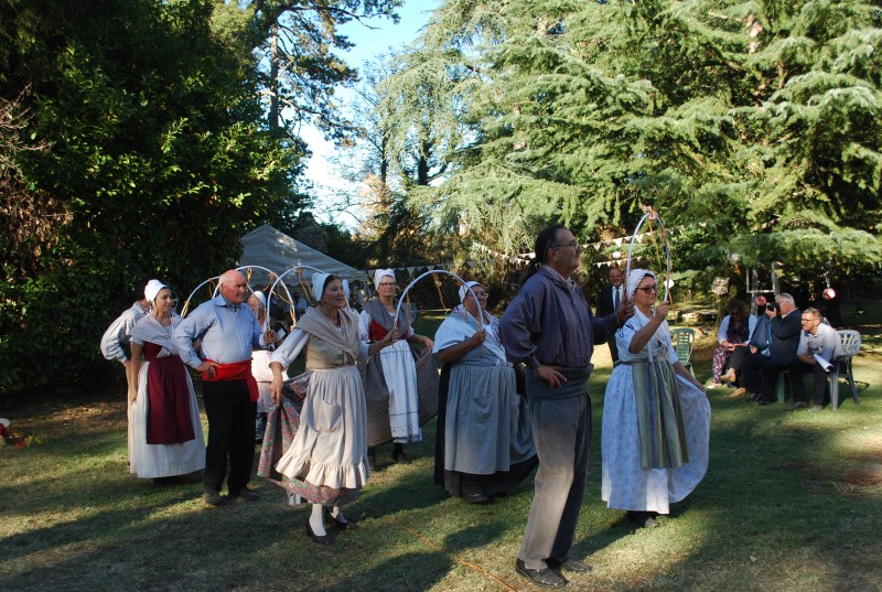 DSC_0477.jpg