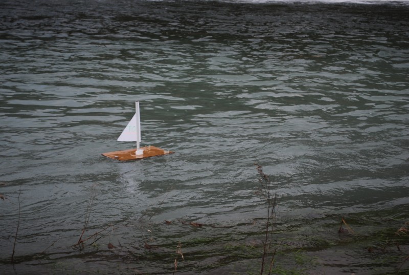 DSC_0175.jpg