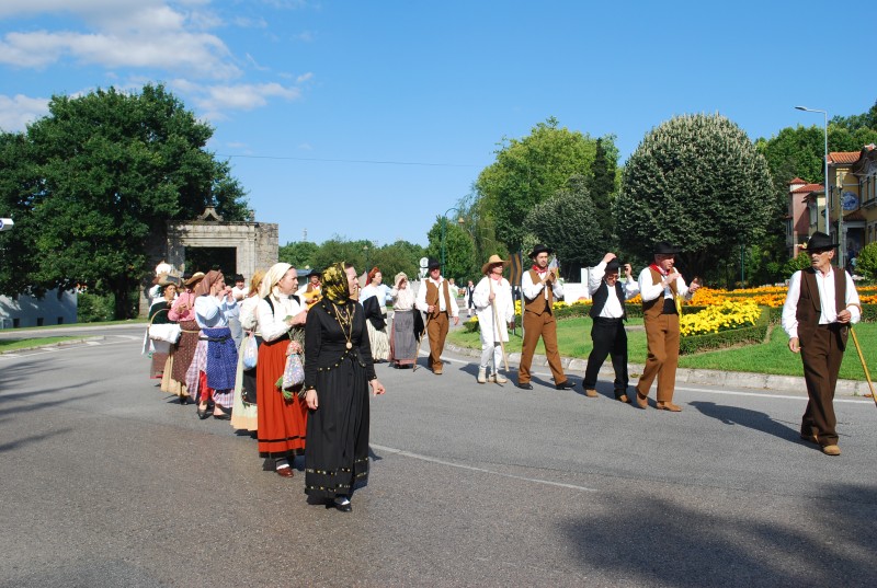 DSC_0377.jpg